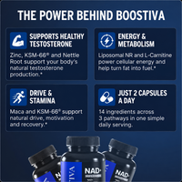 Boostiva Natural Testosterone Support For Men