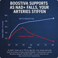 Boostiva NAD+ Men's Complex